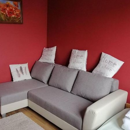 Komfortowy Apartament Dla Turystow I Pracownikow グダニスク エクステリア 写真