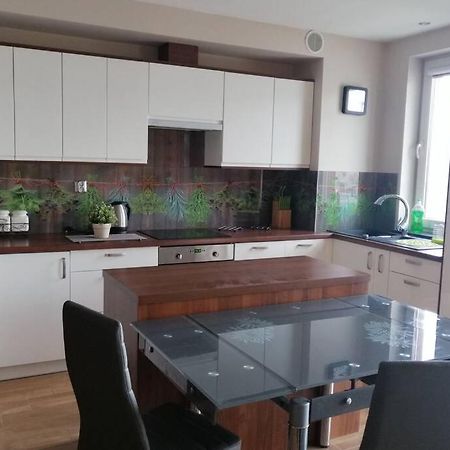 Komfortowy Apartament Dla Turystow I Pracownikow グダニスク エクステリア 写真