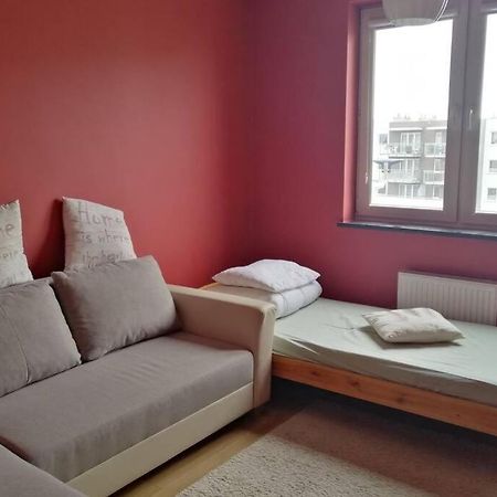 Komfortowy Apartament Dla Turystow I Pracownikow グダニスク エクステリア 写真