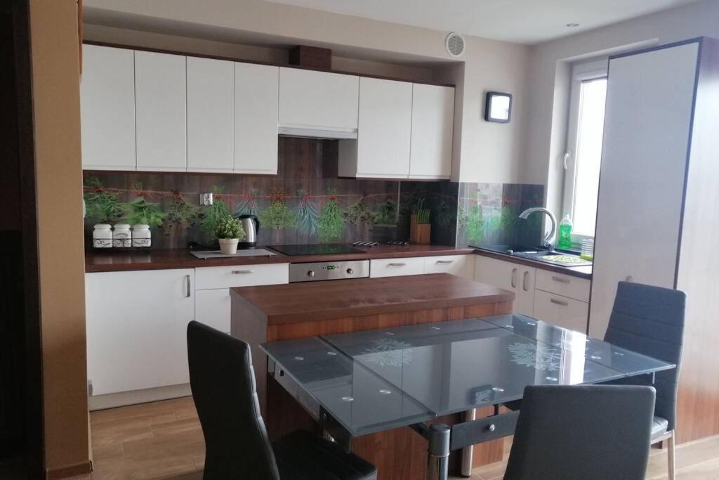 Komfortowy Apartament Dla Turystow I Pracownikow グダニスク エクステリア 写真